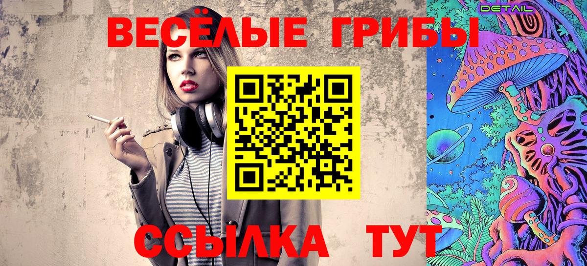Бузулук  Псилоцибиновые грибы Psilocybe  Вход с VPN  Псилоцибиновые грибы мицелий 