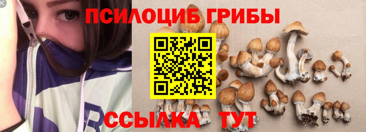 Псилоцибиновые грибы мухоморы Бузулук